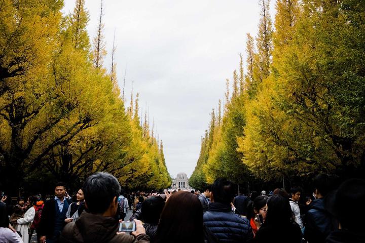 Autumn in Tokyo