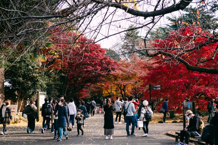 50 Shades of Shinjuku Gyoen