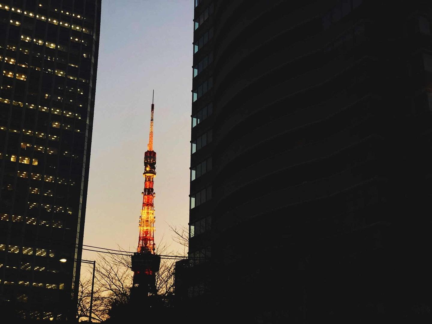 Tokyo Tower looked especially beautiful tonight.