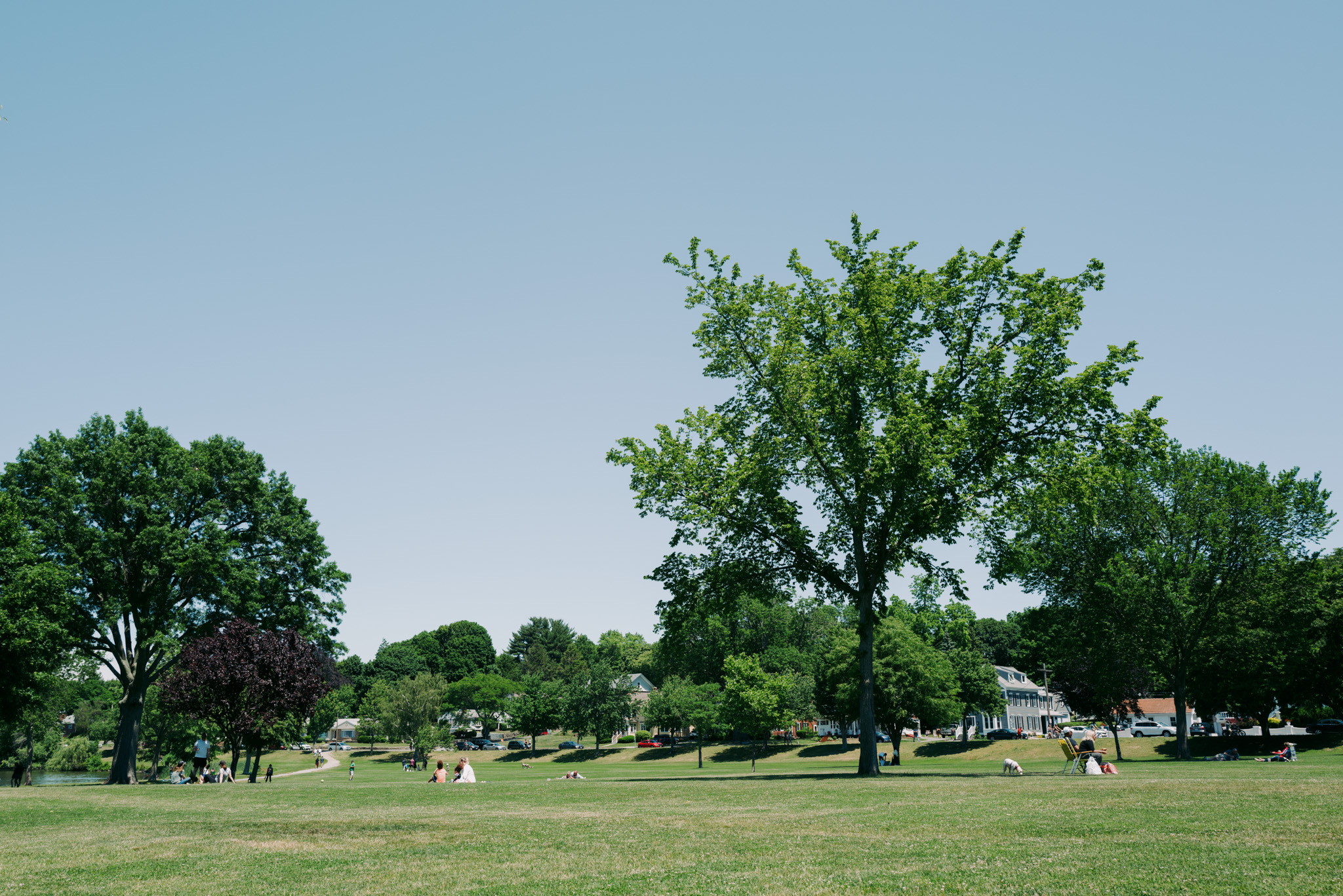 A sunny day by the lake.