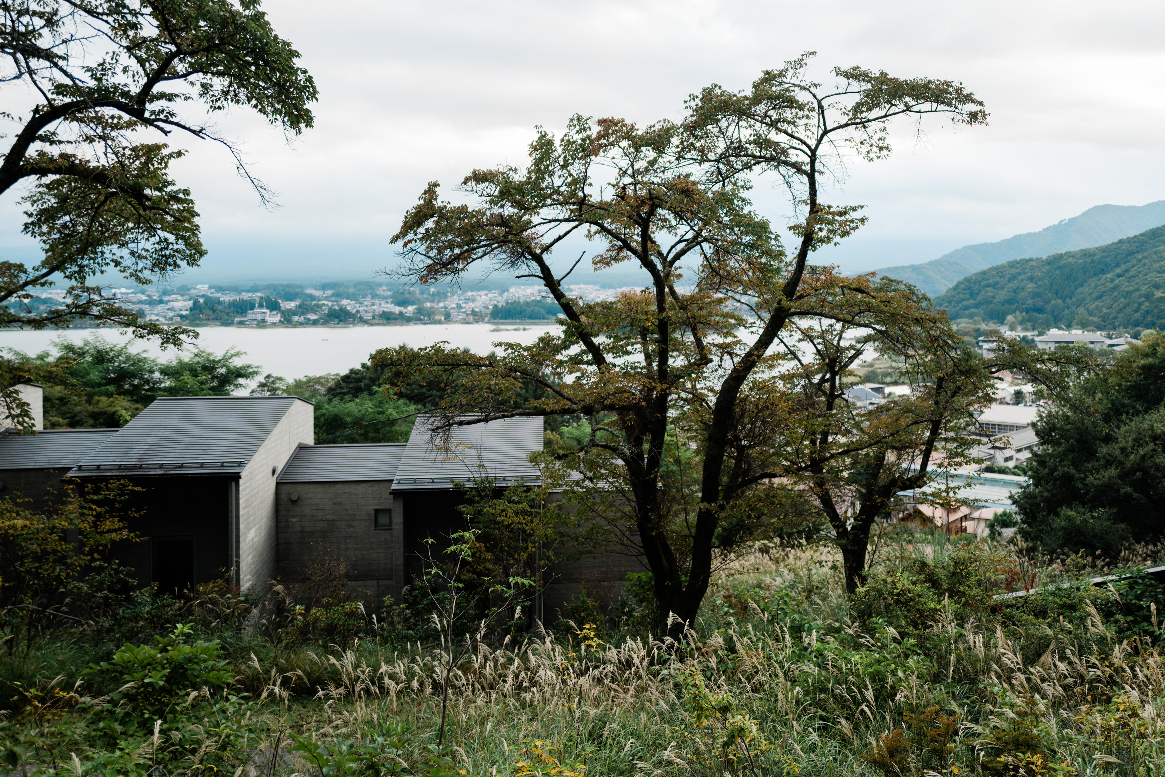 The view from our blacony at Hoshinoya Fuji.