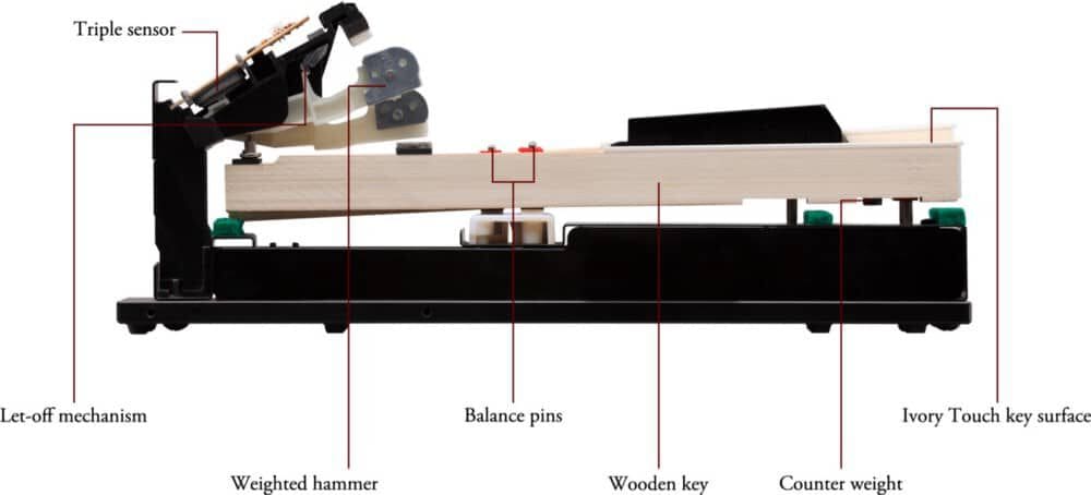 kawai vcp 1