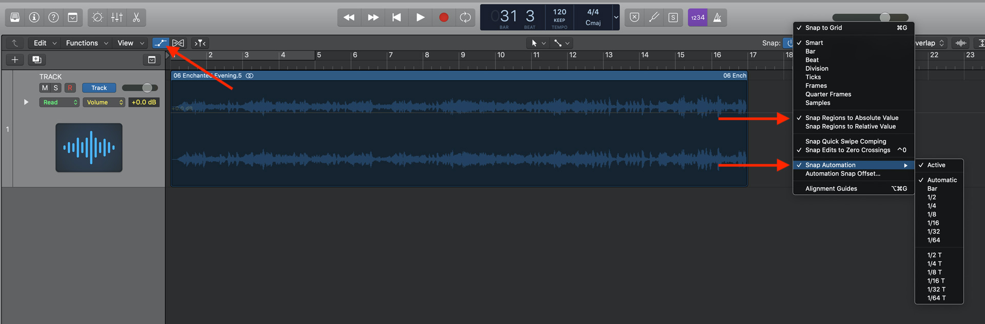 Snap automation settings in Logic Pro X.